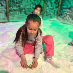 WhatsApp Image 2025-09-08 at 09.26.15