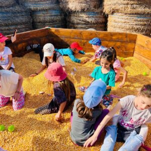 WhatsApp Image 2025-09-08 at 09.28.03 (3)