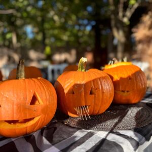 WhatsApp Image 2025-09-11 at 15.46.29 (1)