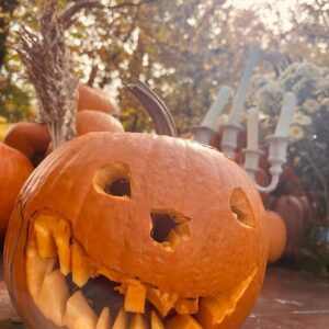 WhatsApp Image 2025-09-11 at 15.46.29 (2)