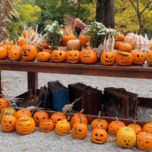 WhatsApp Image 2025-09-11 at 15.46.29 (3)