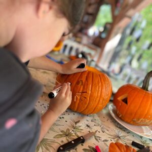 WhatsApp Image 2025-09-11 at 15.46.29