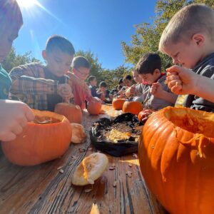 WhatsApp Image 2025-09-11 at 15.46.29 (4)