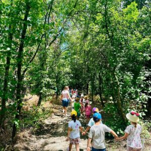 WhatsApp Image 2025-09-11 at 15.48.17