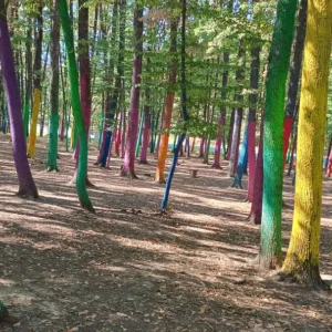 casuta-rasturnata-castelul-vrajitoarelor-si-padurea-colorata-v0-g5l0hmsk52rf1